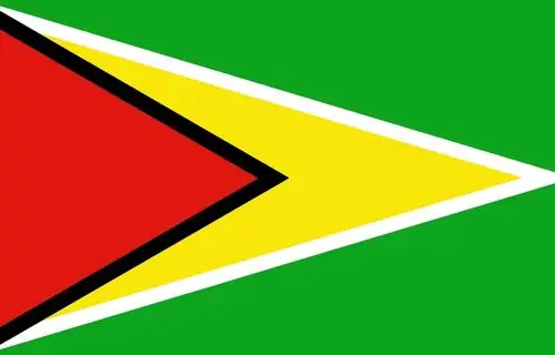 Guyana flag